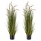 Green Horsetail Grass Plant 2pcs PVC Realistic Potted Indoor-Outdoor Decor